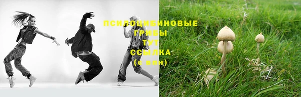 ALPHA PVP Дмитров