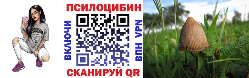 Псилоцибиновые грибы Psilocybe  Жердевка 