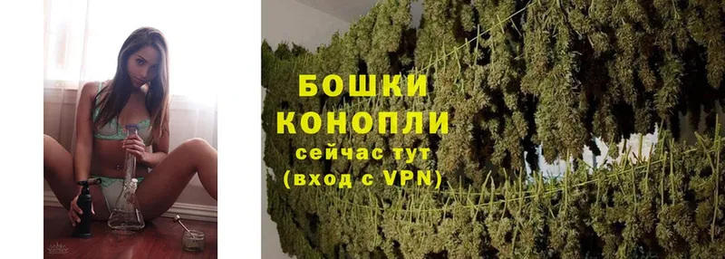 дарк нет формула  Жердевка  Бошки Шишки Ganja 